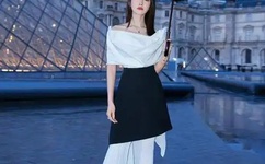 忘忧草WYC1055日本